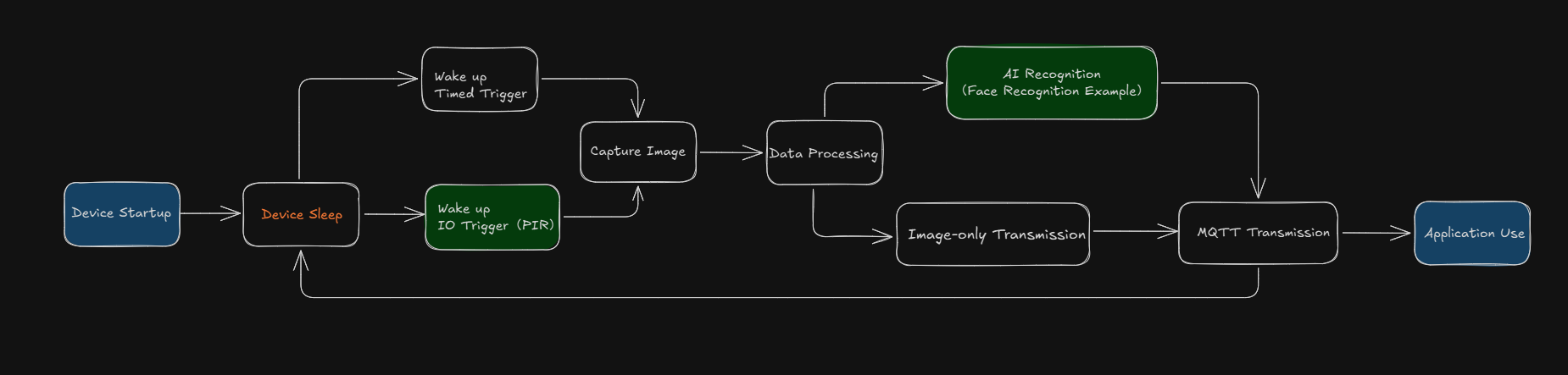 NeoEyes NE101 workflow diagram